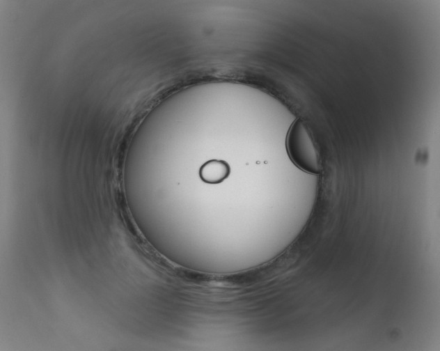 X0000111610748200907171039