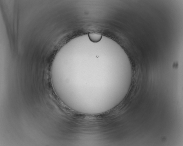 X0000111610749200907171039