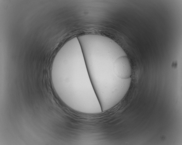 X0000111610751200907171039