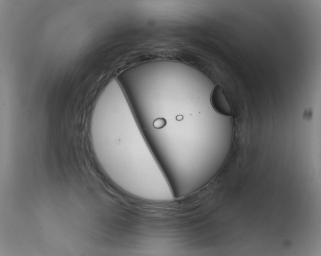 X0000111610752200907171039