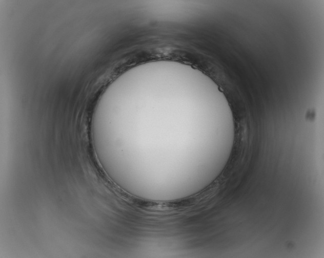 X0000111610754200907171039