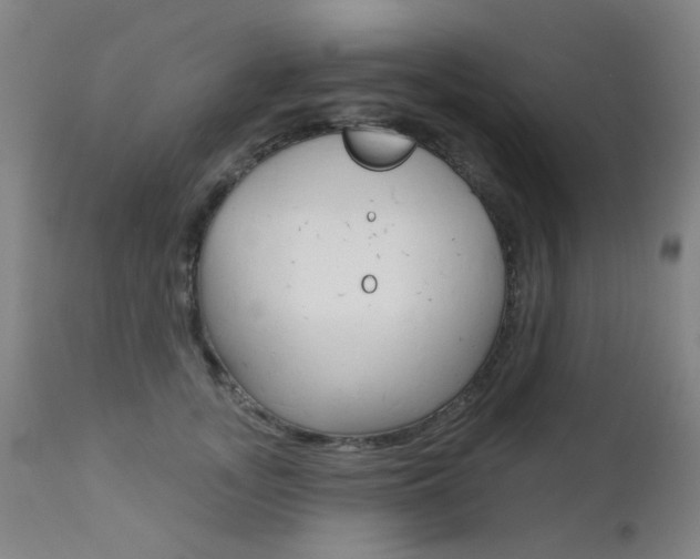 X0000111610755200907171039