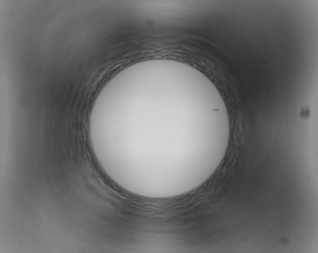 X0000111610756200907171039