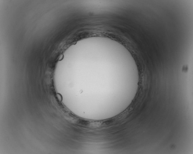 X0000111610757200907171039