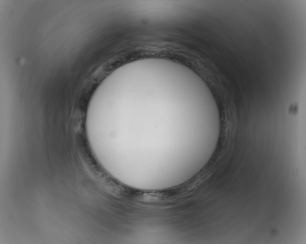 X0000111610758200907171039