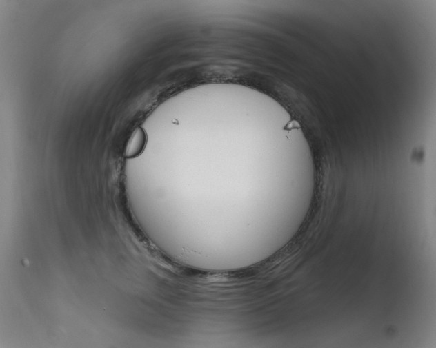 X0000111610759200907171039