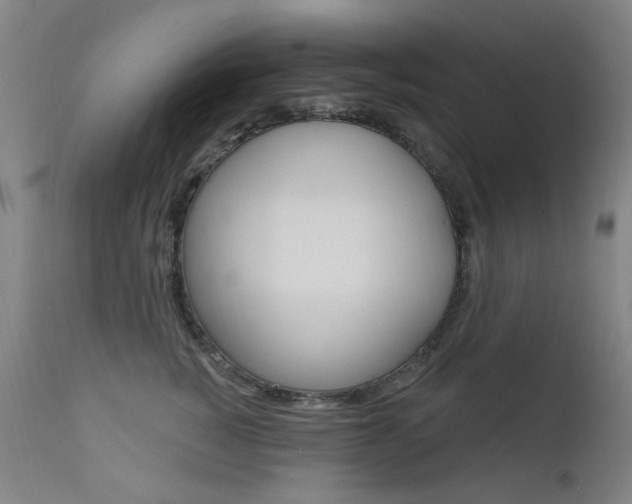 X0000111610760200907171039