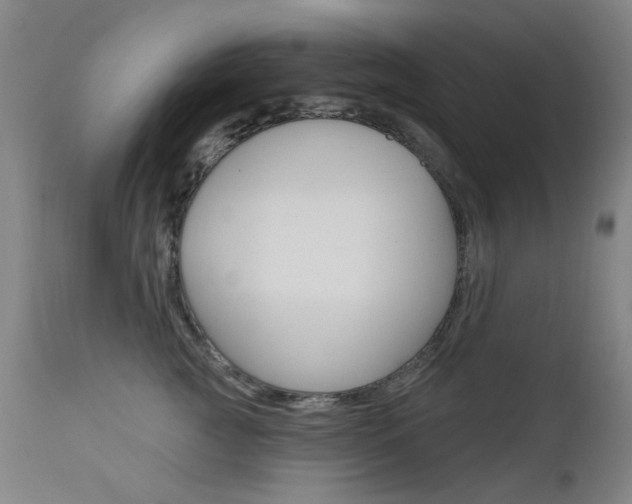 X0000111610761200907171039