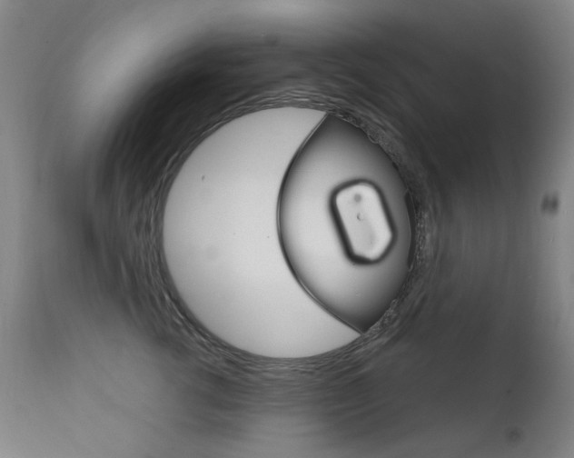 X0000111610762200907171039