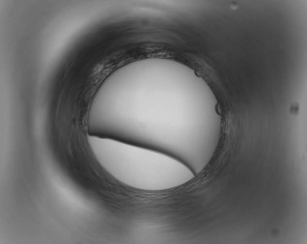 X0000111610763200907171039
