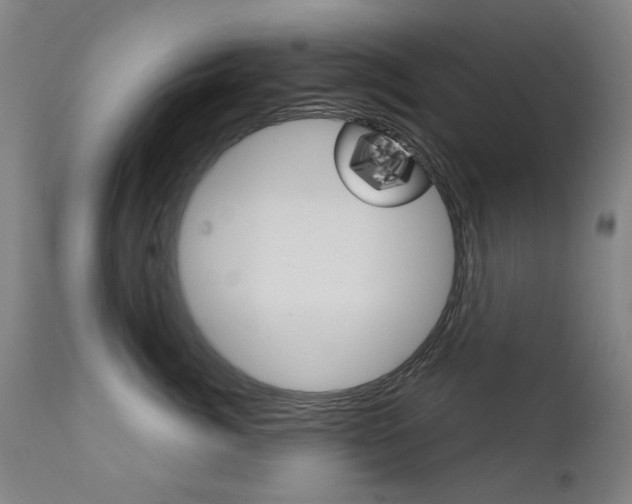 X0000111610764200907171039