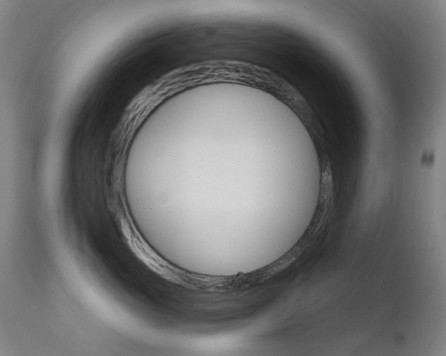X0000111610765200907171039
