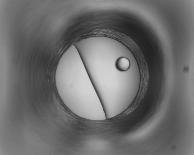 X0000111610767200907171039