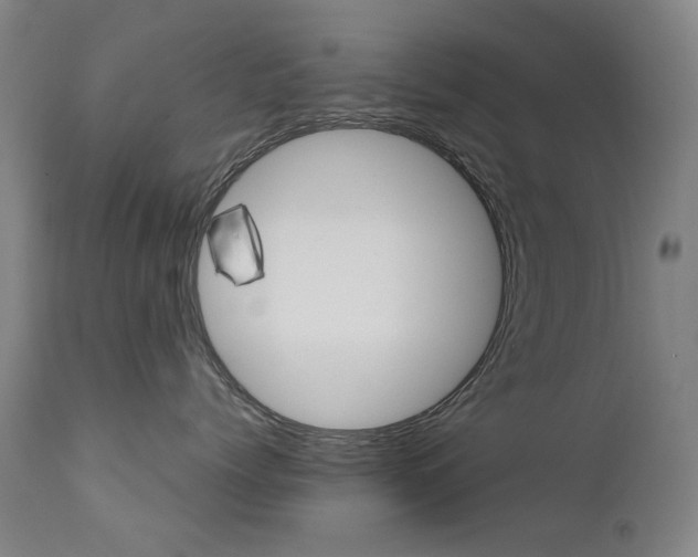 X0000111610768200907171040