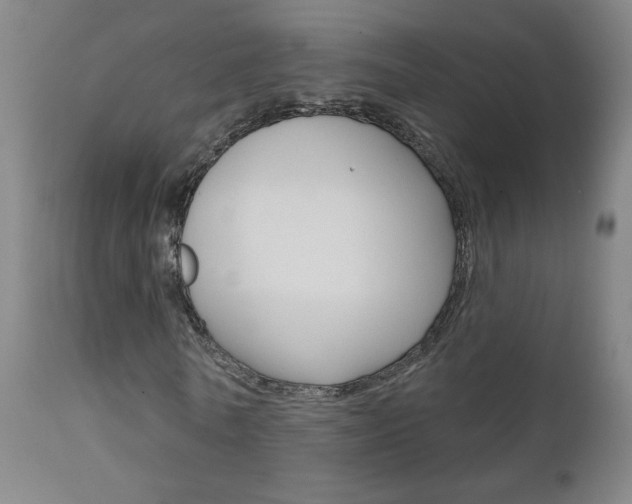 X0000111610770200907171039