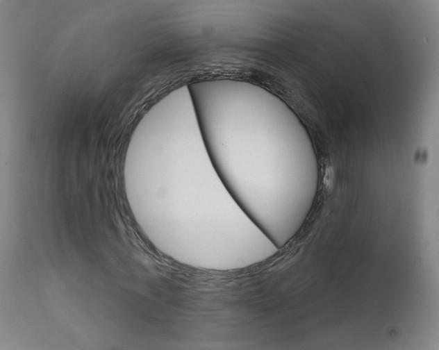 X0000111610771200907171039
