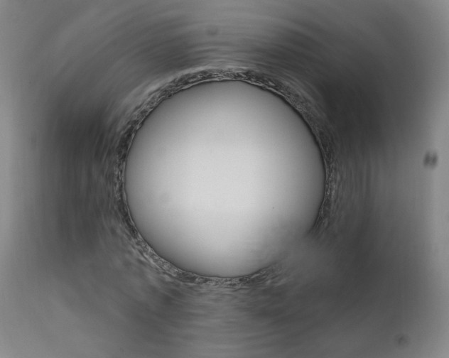 X0000111610773200907171039