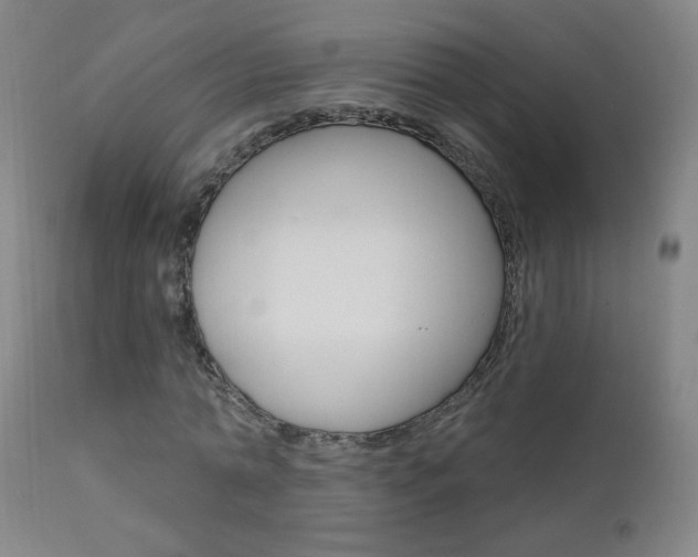 X0000111610774200907171039