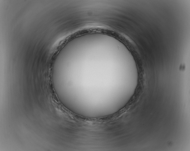 X0000111610775200907171039