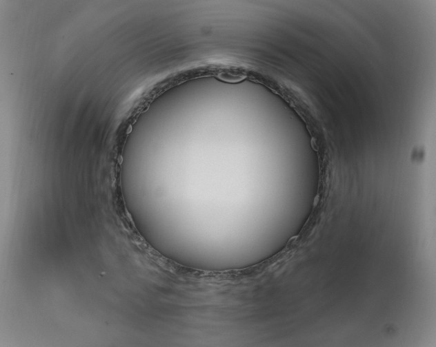 X0000111610776200907171039