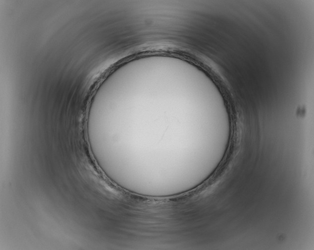 X0000111610778200907171039