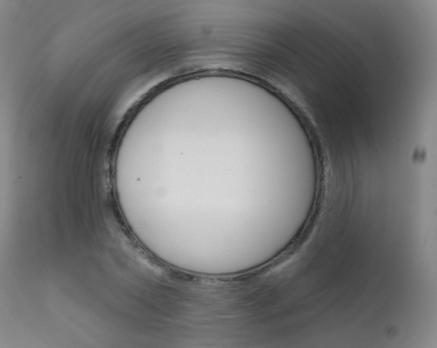 X0000111610782200907171039