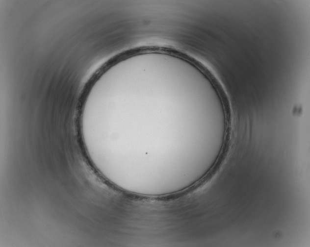 X0000111610783200907171039