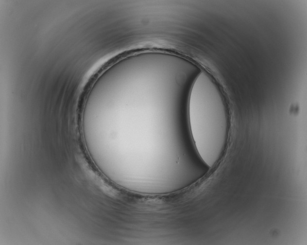 X0000111610784200907171039