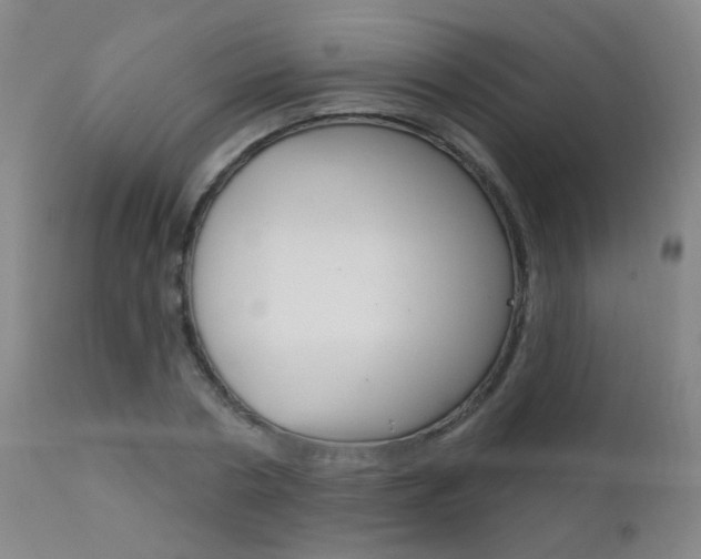 X0000111610786200907171039