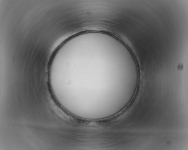 X0000111610787200907171039
