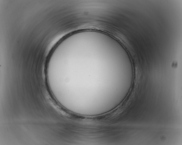 X0000111610788200907171039