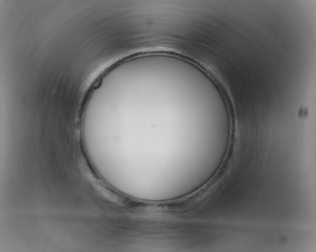 X0000111610789200907171039