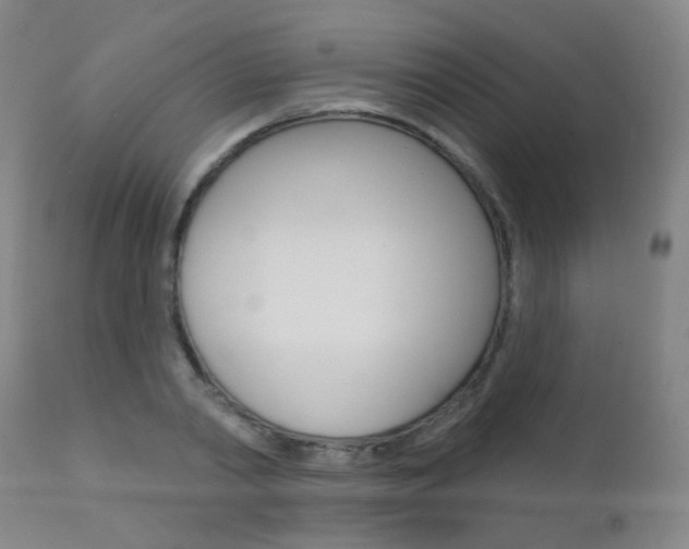 X0000111610790200907171039