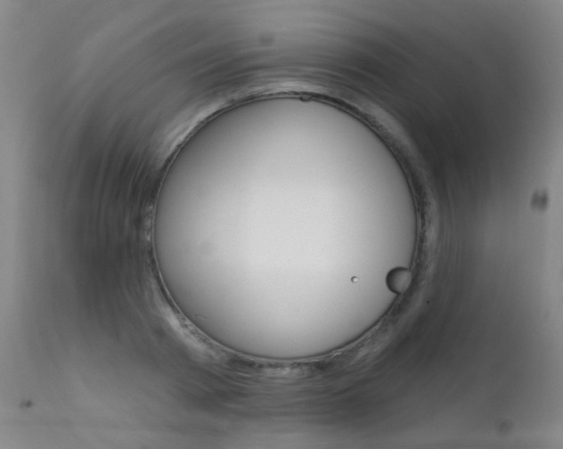 X0000111610793200907171039