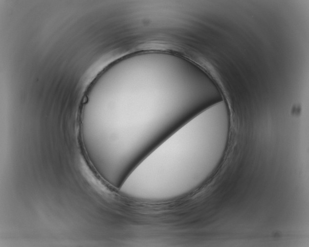 X0000111610795200907171038