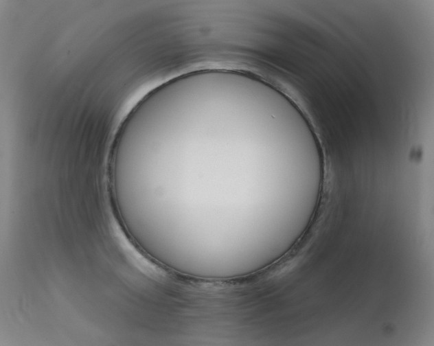 X0000111610803200907171038