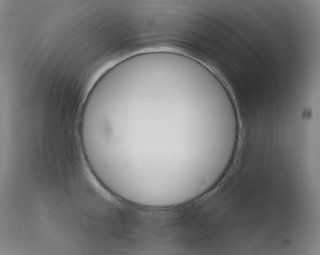 X0000111610805200907171038
