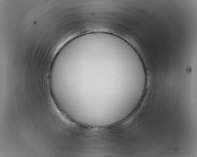X0000111610806200907171038