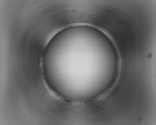 X0000111610809200907171038