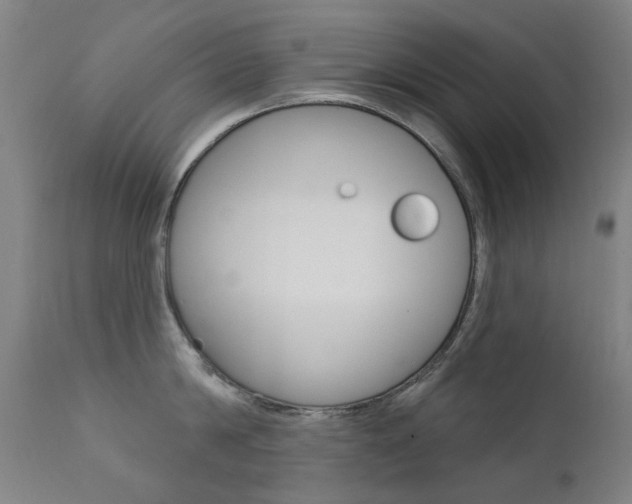 X0000111610814200907171038