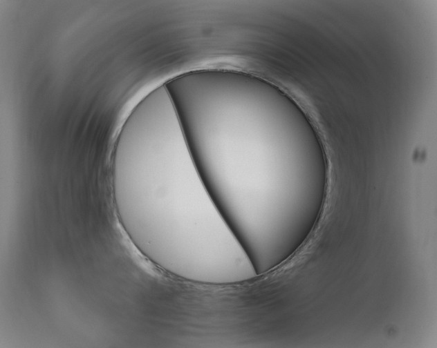 X0000111610816200907171038