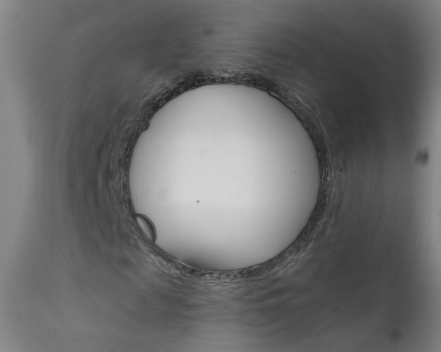 X0000111610817200907171037
