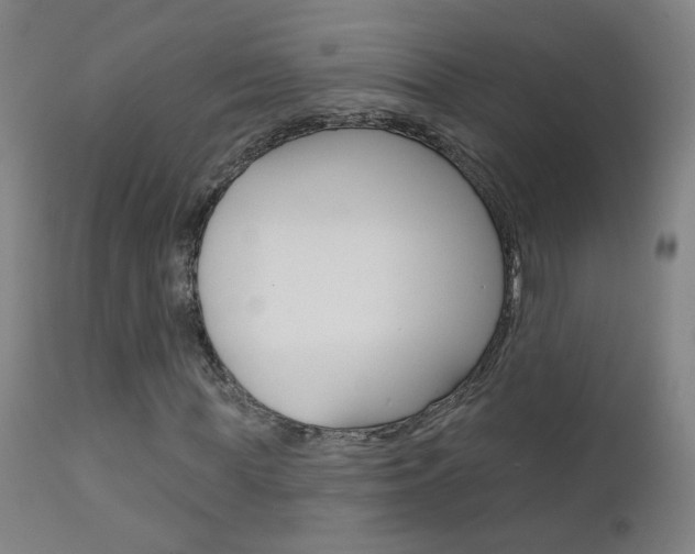 X0000111610819200907171037
