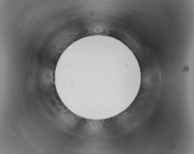 X0000111610820200907171037
