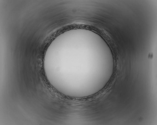 X0000111610821200907171037
