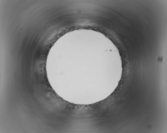 X0000111610824200907171037