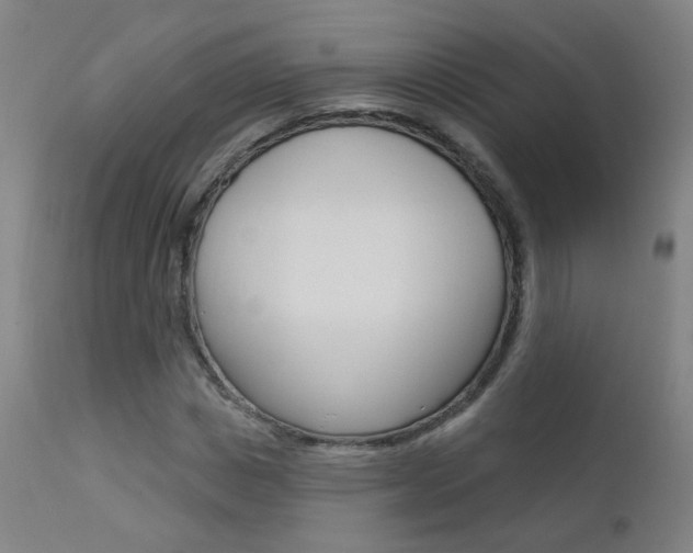 X0000111610825200907171037