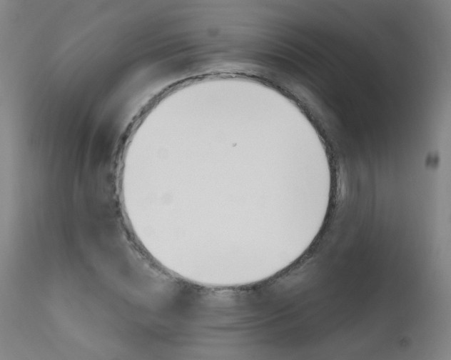 X0000111610828200907171038