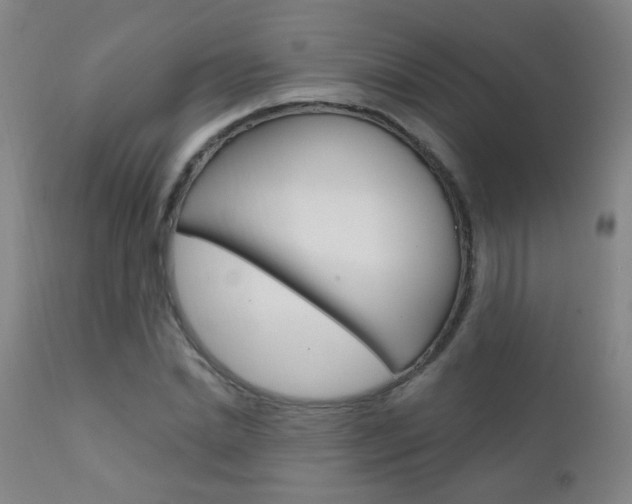 X0000111610830200907171038