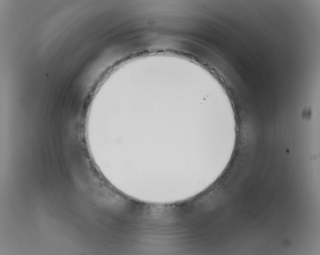 X0000111610832200907171038